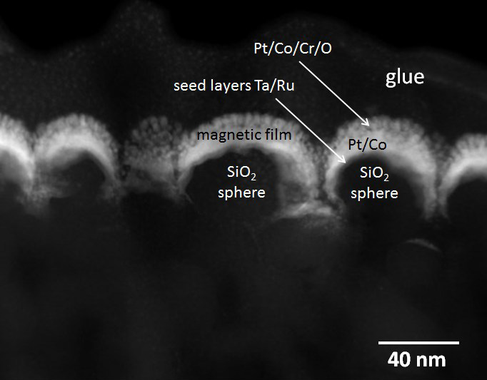 효모 셀의 밝은 필드 이미지 및 단일 요소 맵