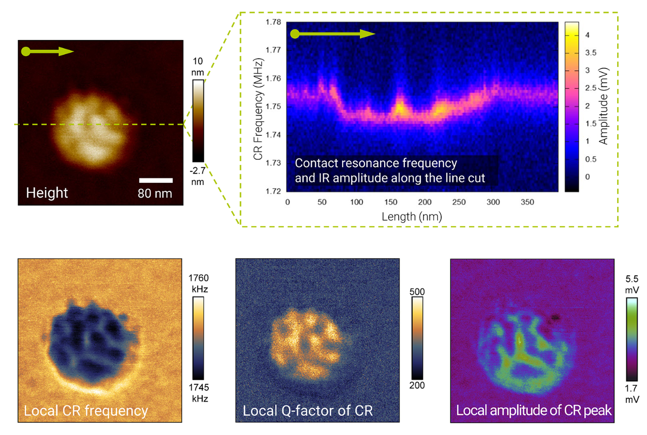 5-image panel showing frequency sweep maps of nanomechanical, chemical, and contact resonance (CR) data on a PS-b-PMMA core-shell nanoparticle