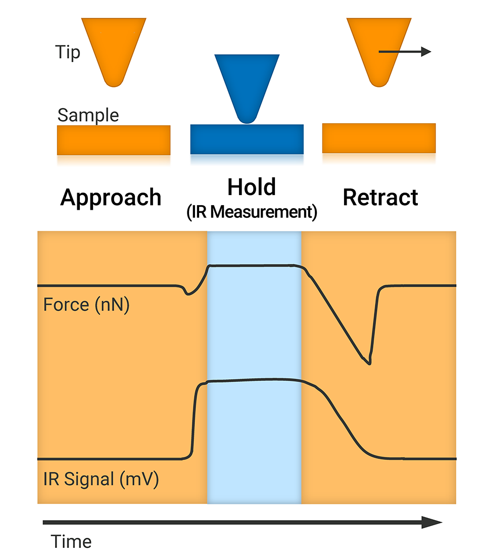 Schematic showing how Bruker's REFV AFM-IR works