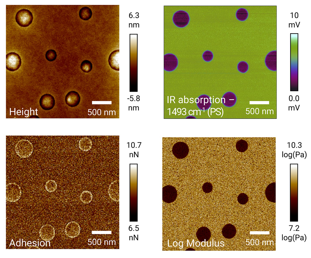 4-image panel showing height, IR absorption, adhesion, and log modulus maps of a PS-LDPE polymer blend