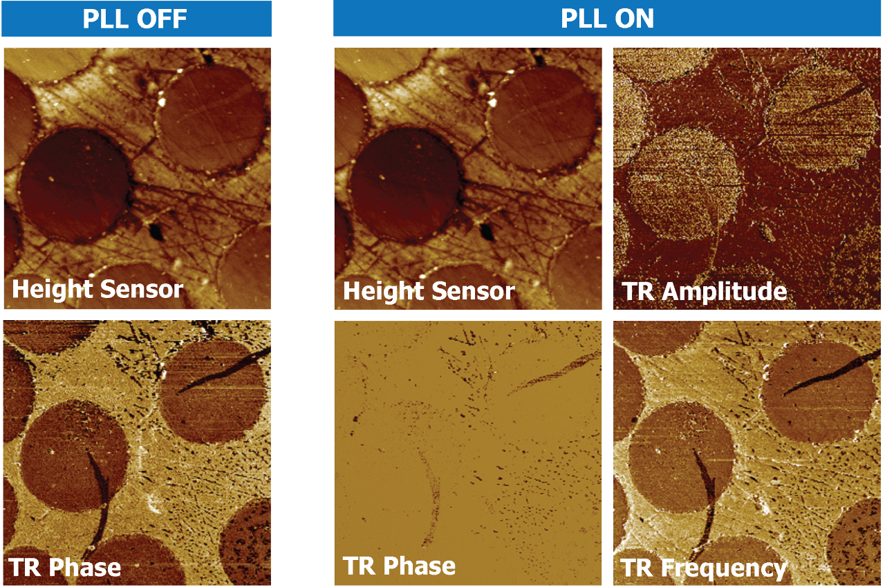 8-image panel showing TR-DFM imaging on cross-sectioned carbon fibers/epoxy resin composite with PLL on and off