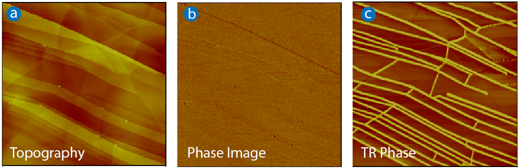 A freshly cleaved HOPG surface imaged with interleaved TappingMode and TR-Mode. The image sizes are 3x3 μm and consist of three parts: (a) topography image with a 5 nm height scale, (b) phase image obtained in TappingMode, and (c) phase image obtained in TR-Mode (both with a 10° scale). 
