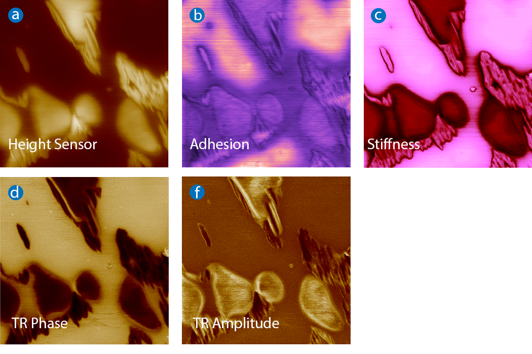  A force volume imaging of a PDES polymer sample with image sizes of 10x10 µm. Five different measurements were taken during the process: (a) Height, (b) Adhesion, (c) Stiffness, (d) TR phase, and (e) TR amplitude. 
