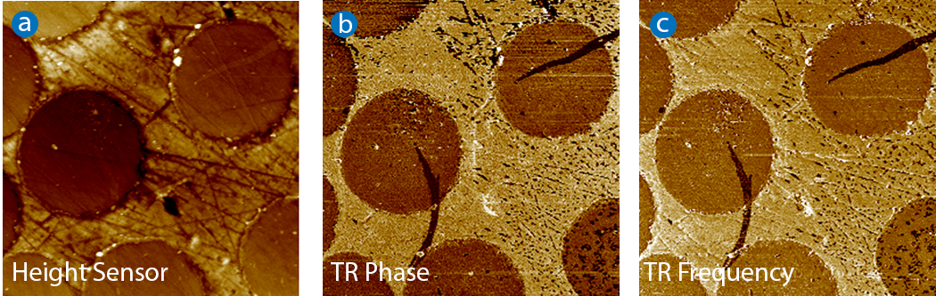 A cross-sectioned carbon fiber embedded in epoxy imaged with TR-DFM. The image size is 20x20 µm and consists of three parts: (a) height map from contact mode imaging, (b) TR phase image showing strong contrast related to the mechanical properties of the two components, and (c) a PLL operation that can be added to adjust the measured phase shift, creating an image of variations in the torsional contact resonance frequency.