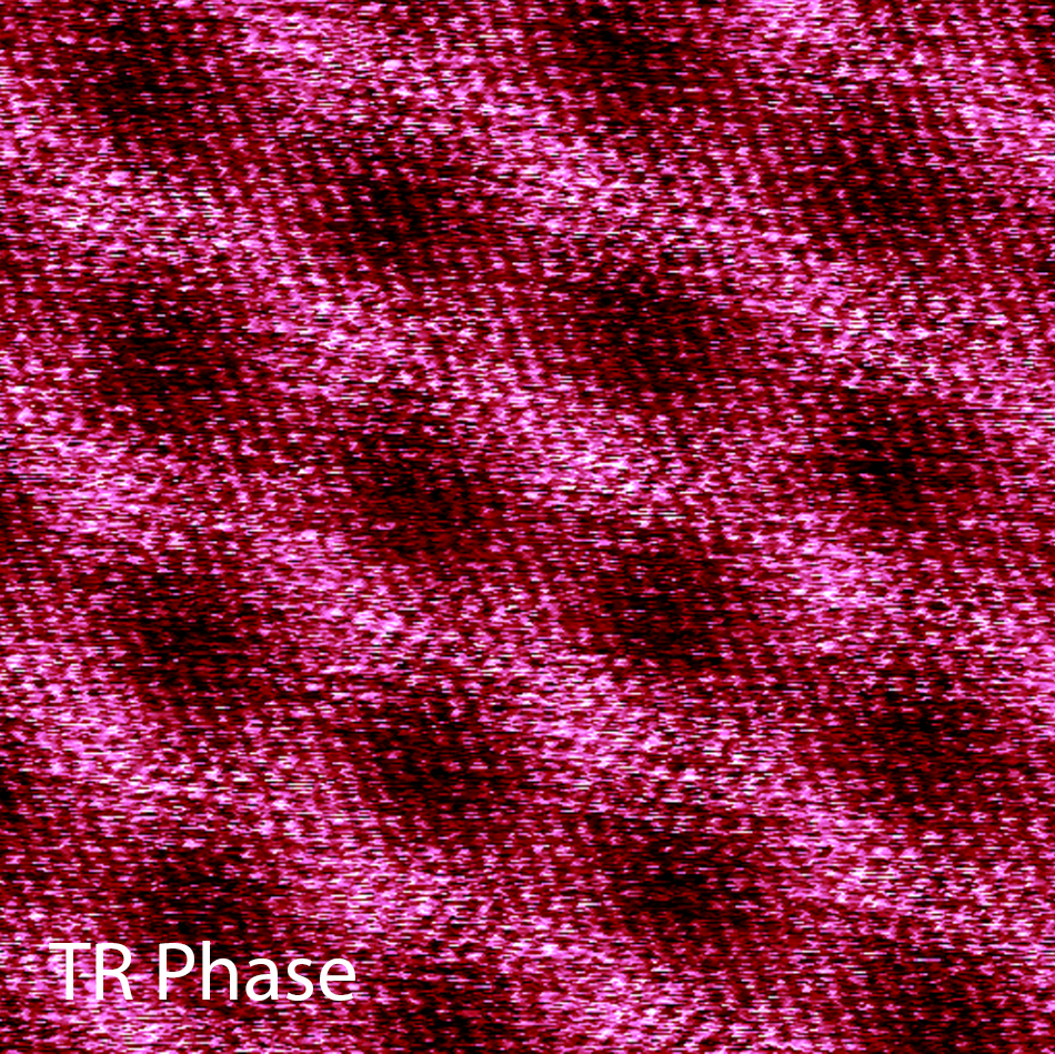 An atomic resolution image capturing both the 2.6 nm moiré pattern period and the underlying lattice of graphene. The image shows a Moiré pattern formed by the hBN layer on graphene. 
