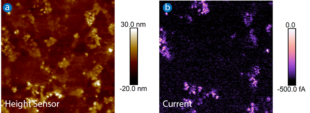 Two 5x5 µm TR-TUNA images acquired on a carbon sticky tape at -0.5 V sample bias. The first image shows the height, while the second image shows the current. The carbon nanoparticles, which form a percolation path to the back substrate, are visible in the TR-TUNA current image.