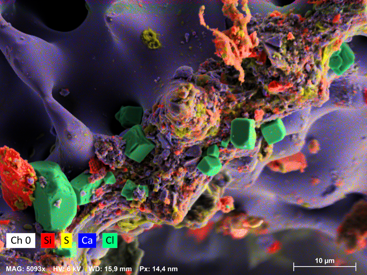 図2：ウニの殻構造の上の砂粒（赤）と海塩の結晶（緑）の堆積物