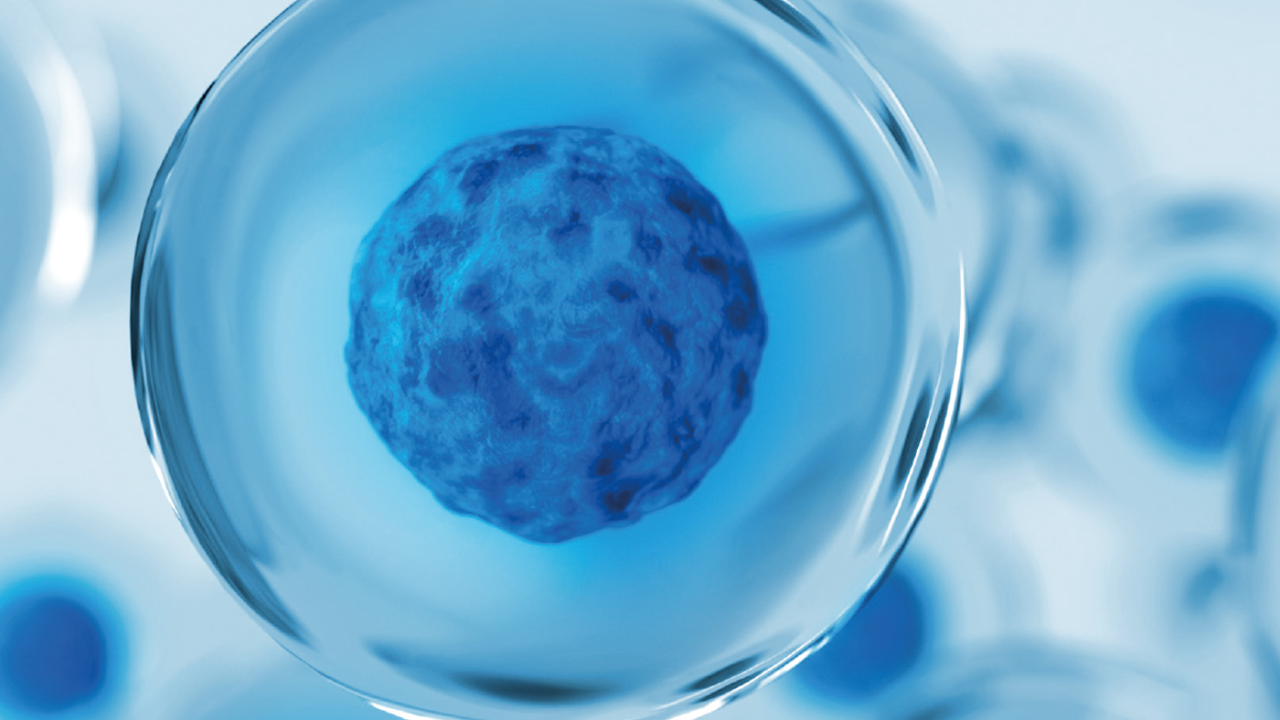 shotgun-protein-identification-teaser