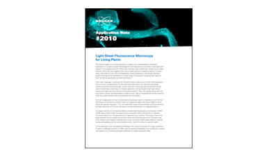an-2010-light-sheet-microscopy-for-living-plants