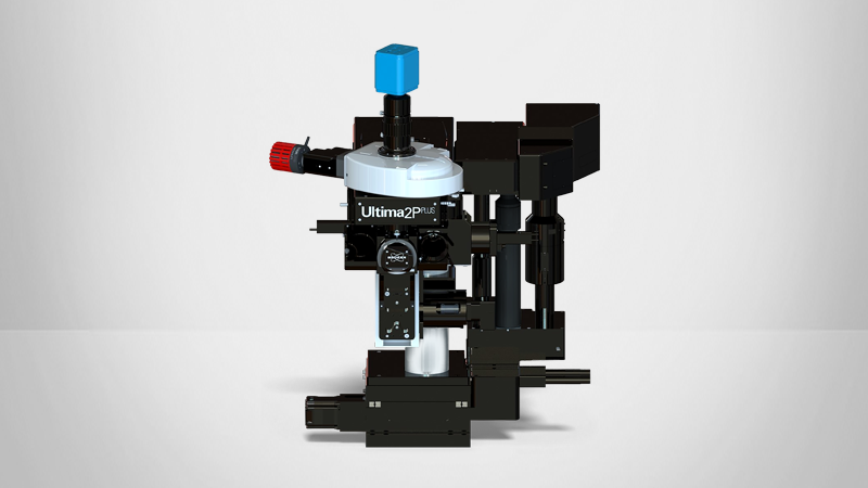 Ultima 2Pplus Multiphoton Microscope