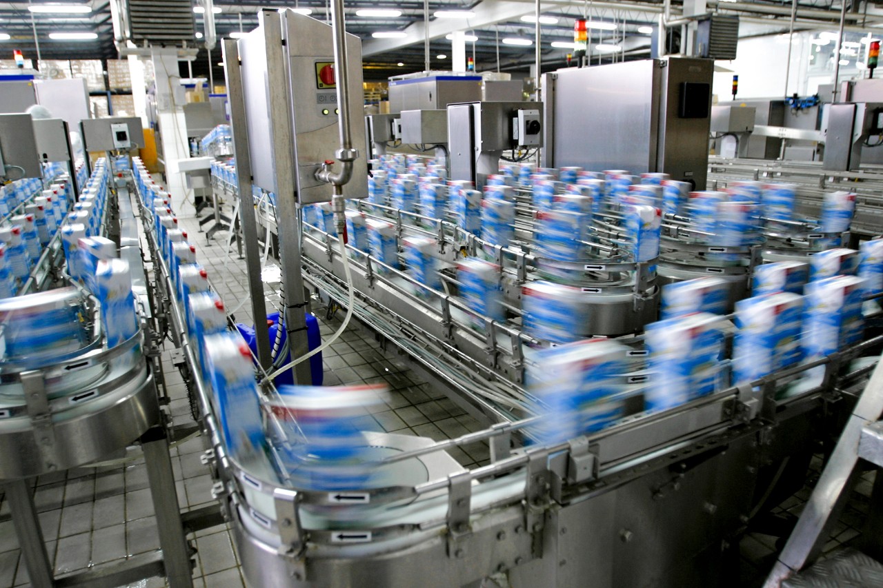 Production line in modern dairy factory
