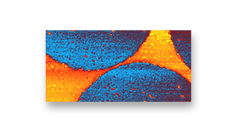 nanoIR - Nanoskalige thermische Analyse