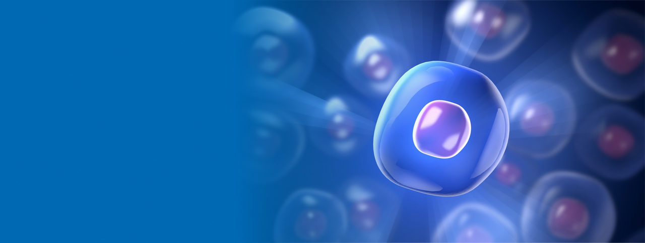 InsightCell
