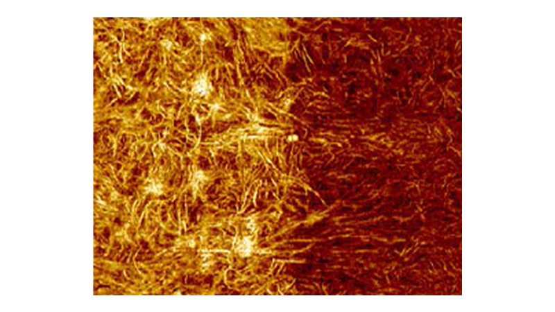 PeakForce QNM Mode for AFM