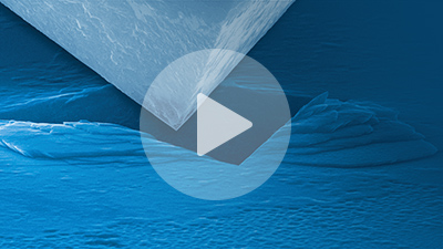 Nanomechanical Instruments for SEM/TEM | Bruker