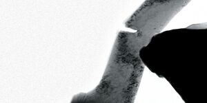 In-Situ Nanomechanics in the Transmission Electron Microscope (TEM).