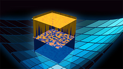 The Latest Advances in AFM Nanoelectrical Modes