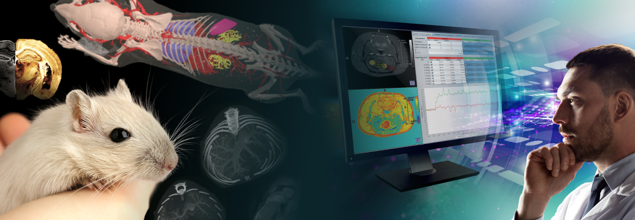 Metabolic Imaging in animal models of disease using a Bruker system