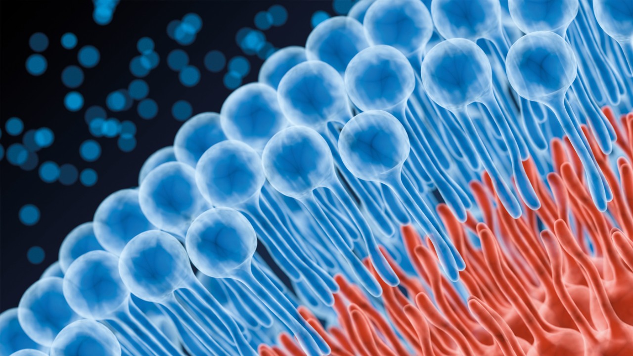 lipidomics-teaser
