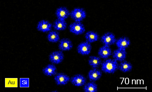 Elemental map of Au–Si core–shell nanoparticles showing gold‑rich cores (yellow) surrounded by silicon signal (blue), with multiple particles distributed across the field of view and a 70 nm scale bar.