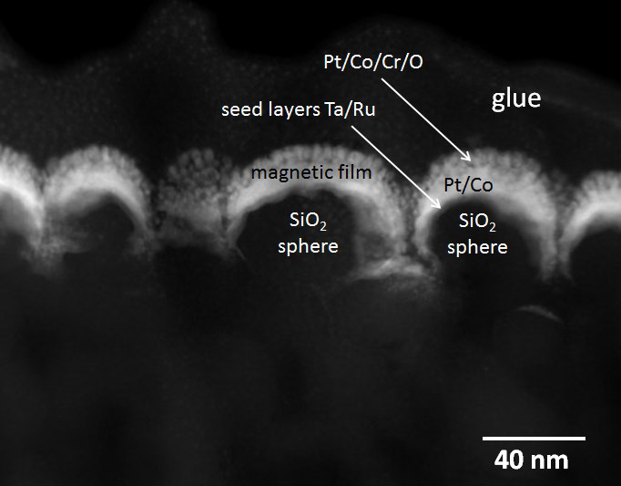 Bright field image and single element maps of a yeast cell