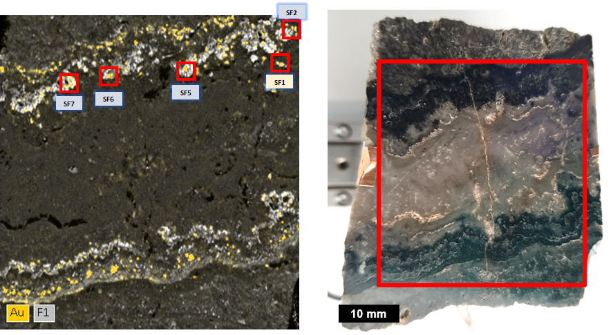 Sample from Karangahake gold mine in New Zealand.