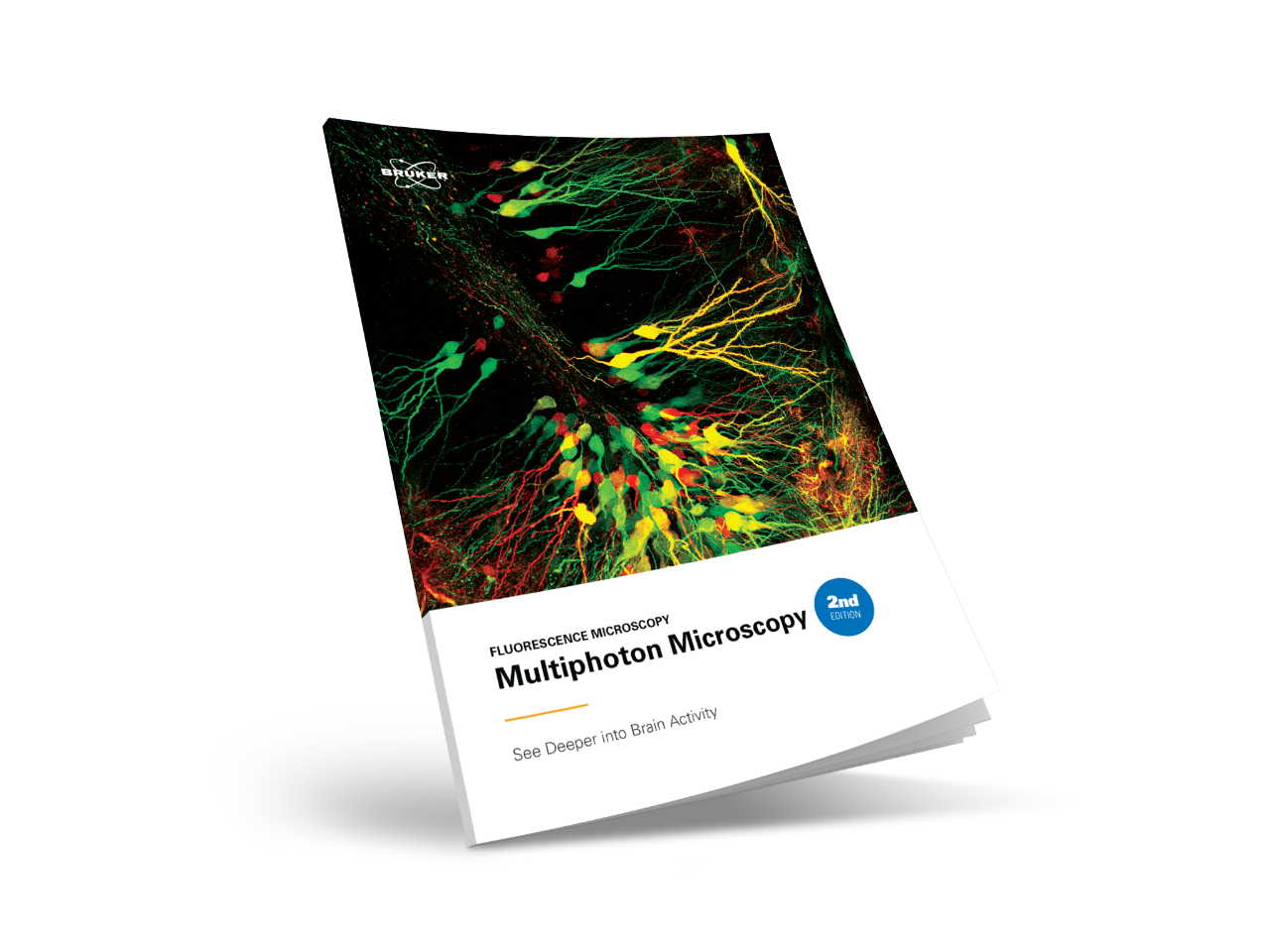 FM-2P-EB2000 Multiphoton Microscopy E-book-2nd Edition-BRUKER