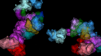 Genomics Research with Vutara VXL