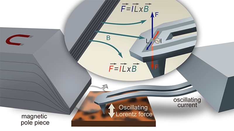 The Lorentz Contact Resonance (LCR) imaging mode further enhances the capabilities of the AFM and nanoIR systems. 