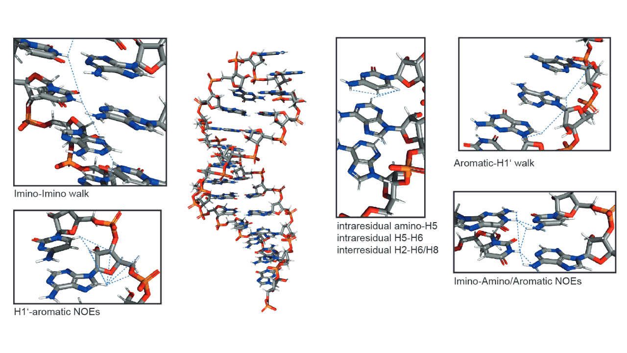 introduction-nmr-spectroscopy