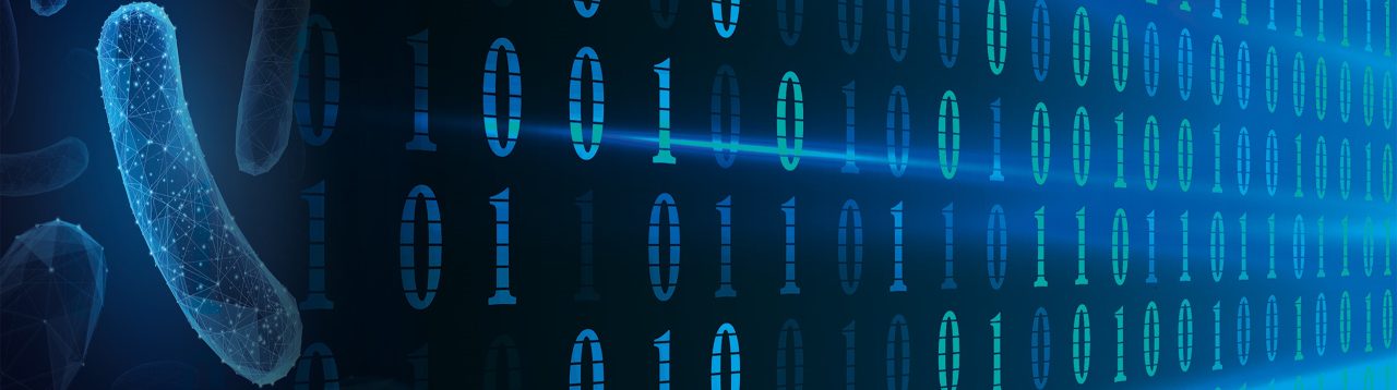 keyvisual-software-2500x700-bmid