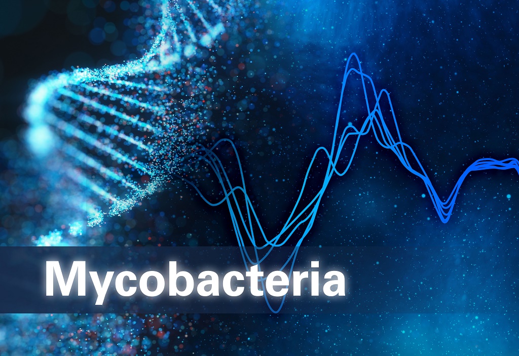 Keyvisual LiquidArray(R) Mycobacteria