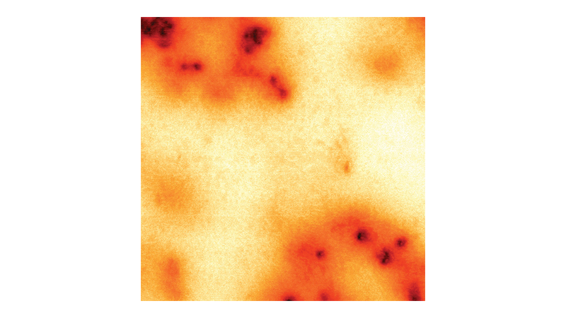 Electric Force Microscopy (EFM) Mode for AFM