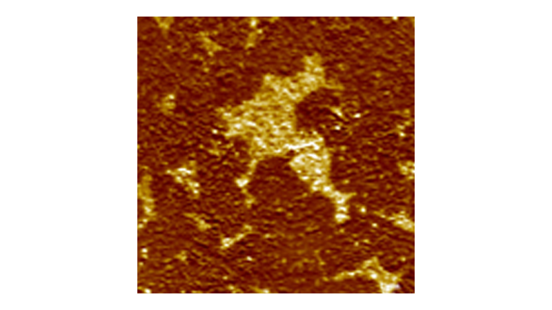 Lateral Force Microscopy (LFM) Mode for AFM