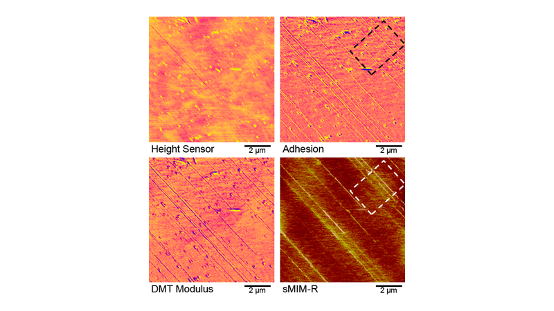 PeakForce sMIM Mode for AFM