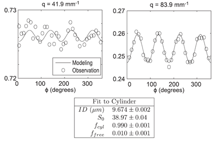 A signature of non-Gaussian diffusion in porous systems