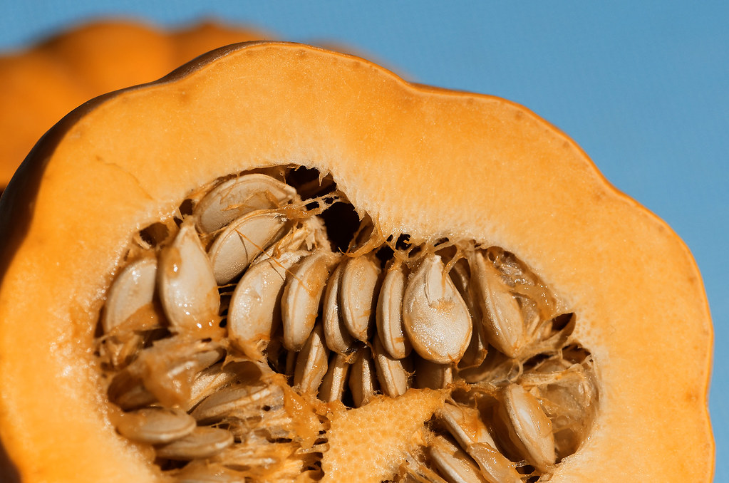 Analyzing Pumpkin Seed Nutrition using 1H NMR