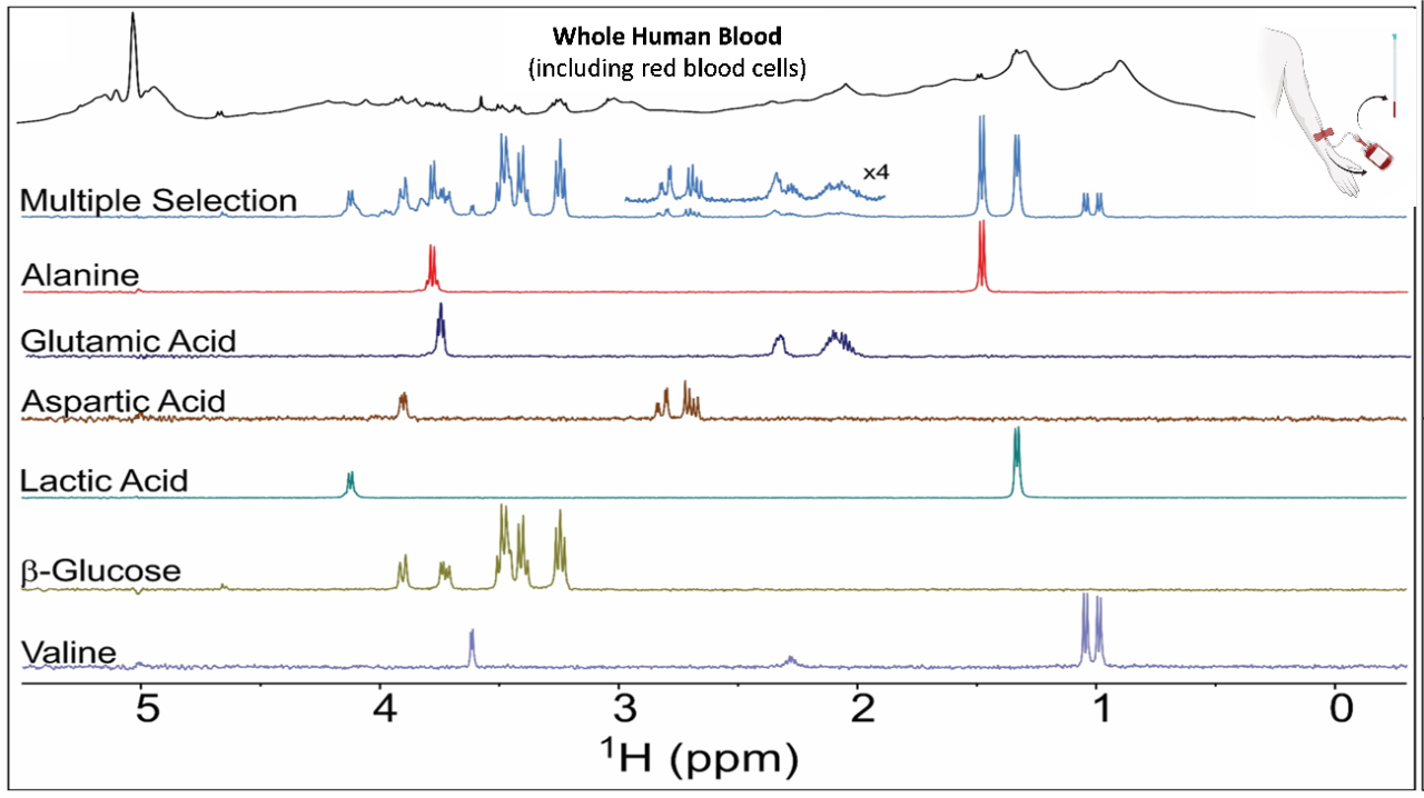 DREAMTIME NMR Spectroscopy: Targeted Multi-compound Selection with Improved Detection Limits