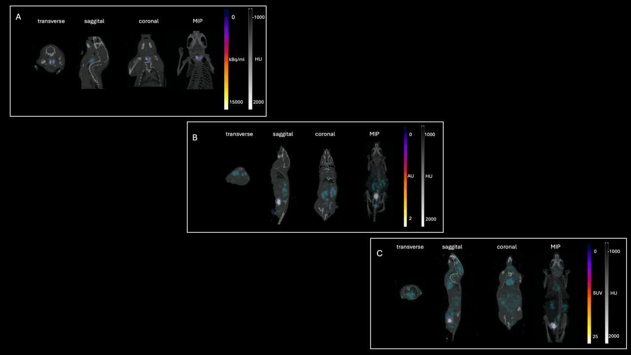 PET/CT imaging of mice showing radiotracer uptake and biodistribution in transverse, sagittal, coronal, and MIP views.