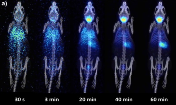 the-power-of-preclinical-imaging-in-radiotheranostic-research