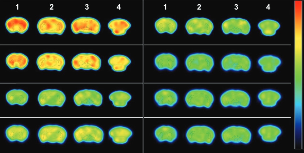 whitepaper-imaging-in-targeted-radiopharmaceuticals