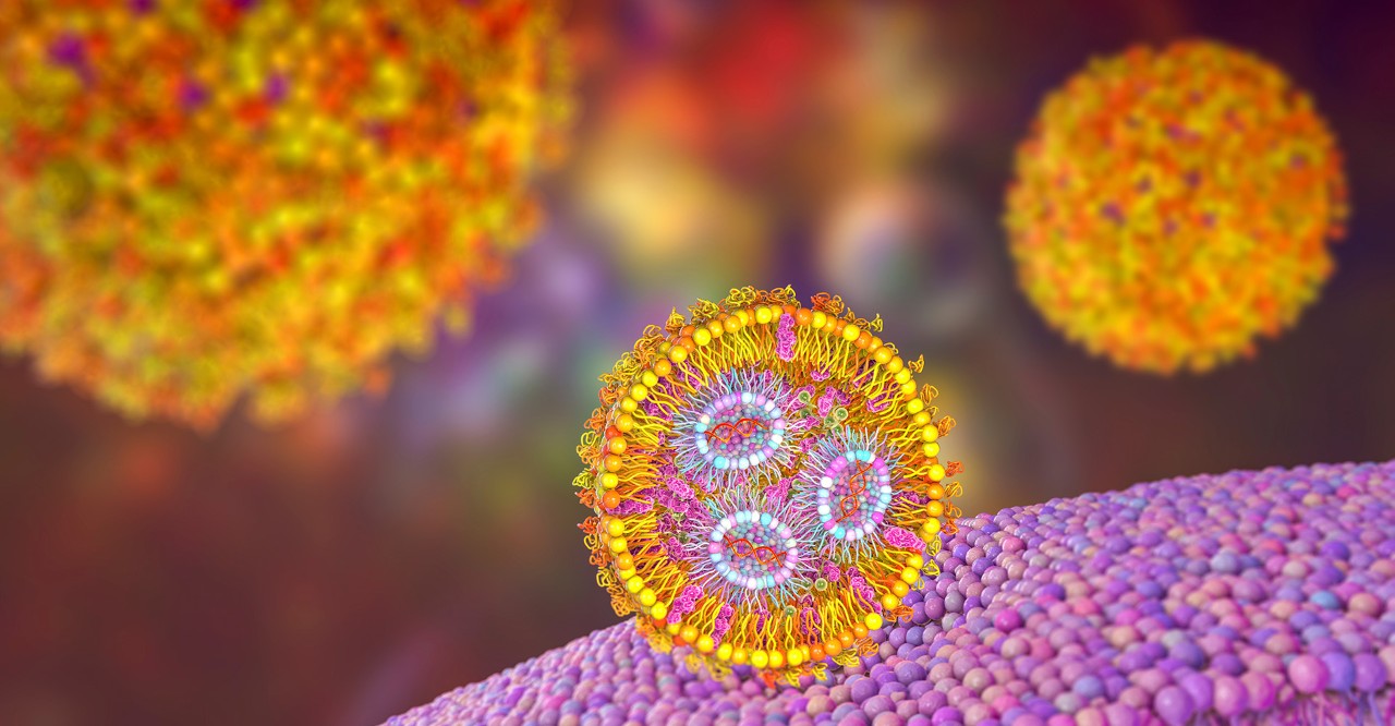 Lipid nanoparticle mRNA vaccine