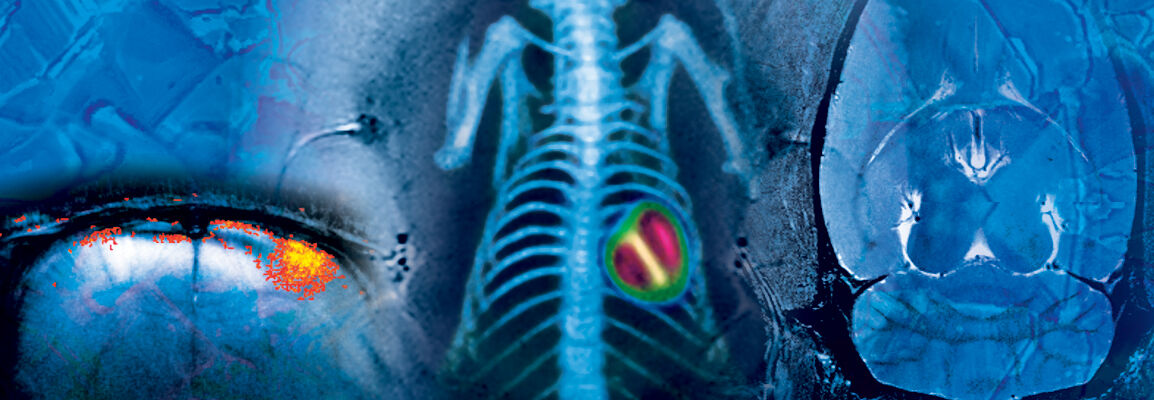 preclinical imaging banner