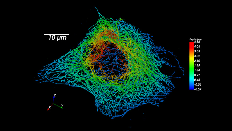 Vutara-cell-biology-teaser-BRUKER