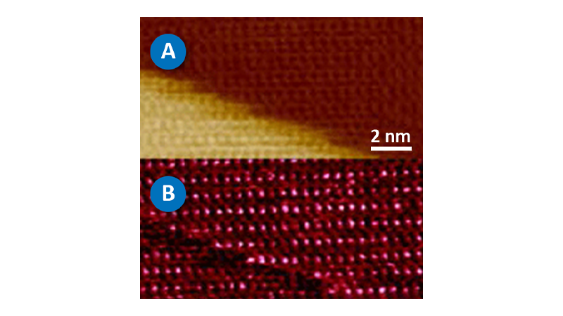 PeakForce Capture Mode for AFM