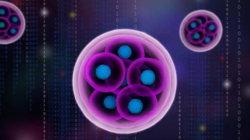 organelles