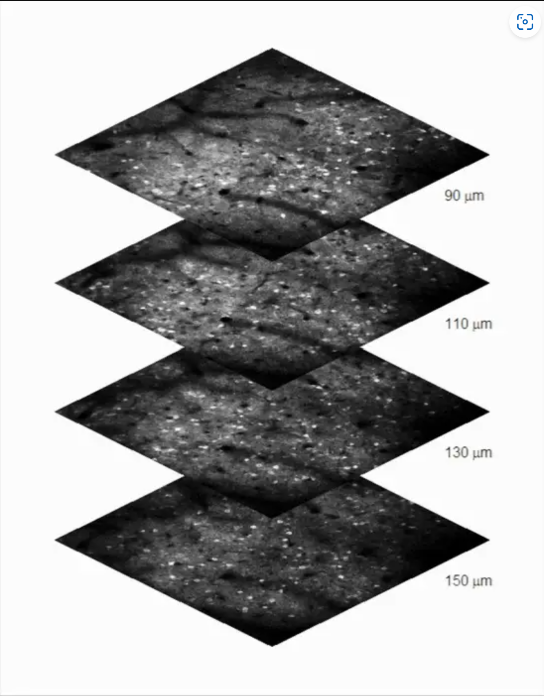 Objective Z Piezo Stage