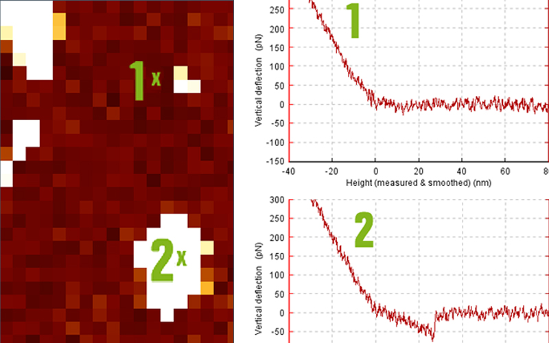 Single-Molecule-Spectroscopy-Teaser-BRUKER