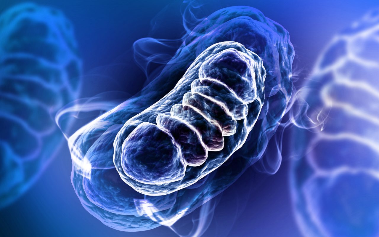 3d rendered Digital illustration of Mitochondria in colour background