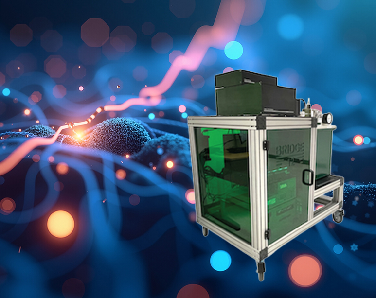 Discovery of small molecules that target RNA. NMR is the method of choice.